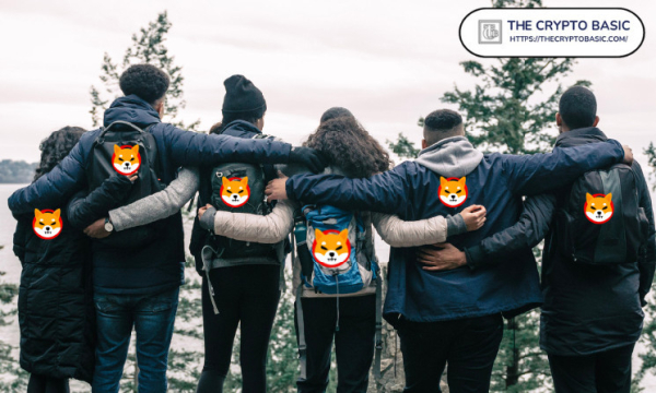 Shiba Inu Hoodies Now Available on Champion Garments in Seven Designs