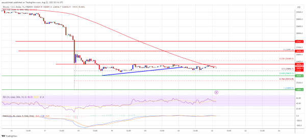 Bitcoin Price Signals Bearish Continuation But Bears Losing Strength