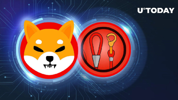 Shiba Inu Lead Shytoshi Kusama Teasing Community with "Exclusive Exclusive"