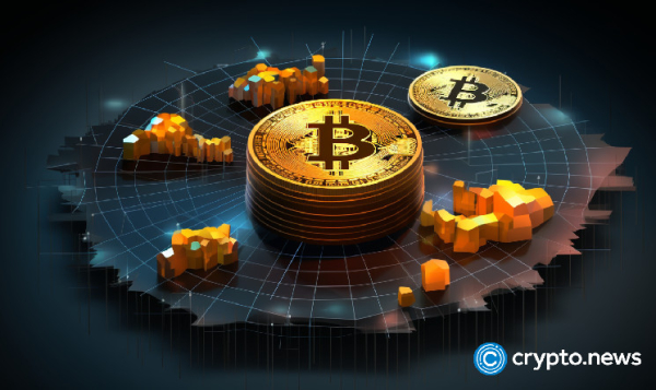 Meet the whales: Bitcoin&rsquo;s biggest holders and their market influence