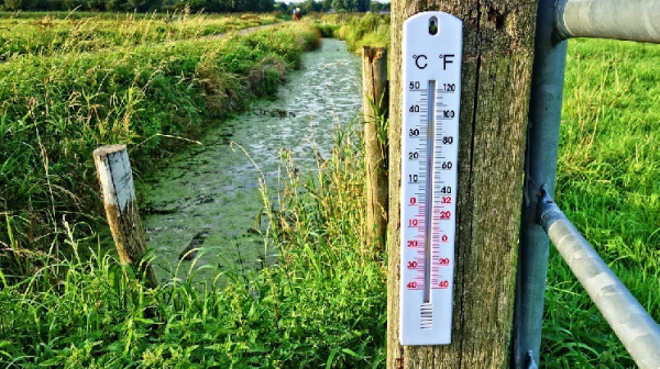 Celsius Token Holders Lose Bid to Hike CEL Valuation