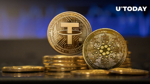 USDT Lands in This Cardano (ADA) DeFi: Details