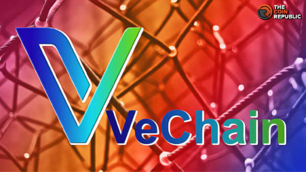 VeChain: All you Need to Know About the Blockchain Platform &nbsp;&nbsp;