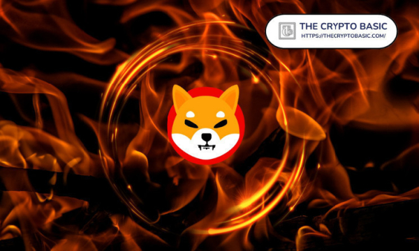 Understanding Shib Burn: Sending SHIB to Official Shiba Inu Contract Leads to Permanent Loss