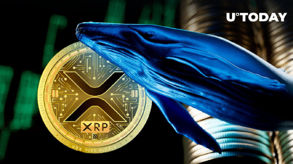 Millions of XRP Shifted in Big Whale Transaction, Here's Endpoint