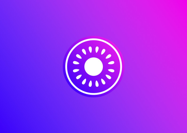 Tokenized Kiwi: Pioneering the Phygital Collectibles Revolution