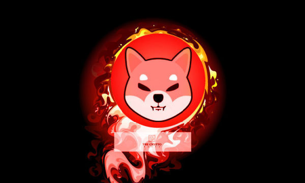 Shibburn Relaunches Shibarium Demo Page for Shiba Inu Burns