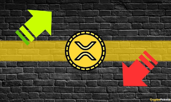 XRP&rsquo;s Price Can&rsquo;t be Set by a Central Authority, Expert Debunks Ripple-Related Misconceptions