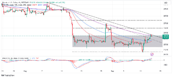 BTC Price Gains Speed Above $26k, Can Shrinking Circulating Supply Drive Bitcoin To $30k?