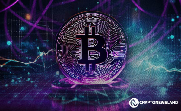 Cracking Bitcoin&rsquo;s Future: The November 28th Cycle Theory Unveiled