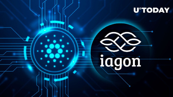 First-Ever Cardano (ADA) Static Website Kicks Off