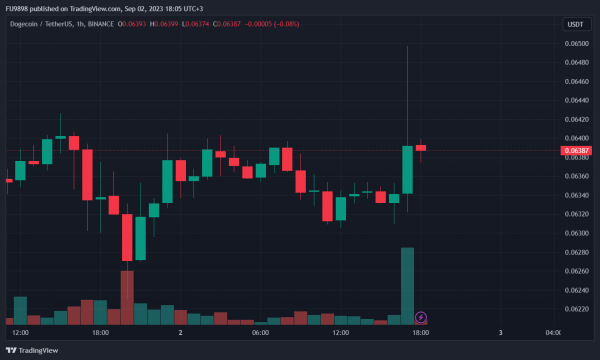 Dogecoin Detail in Elon Musk's New Biography Brings Sudden Movement in DOGE Chart