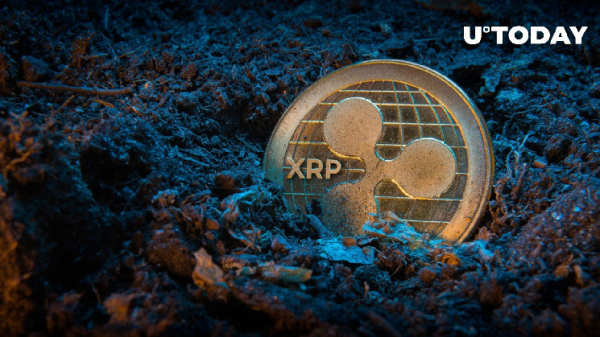 XRP Takes Breathtaking Twist: Millions Came, But This Week, It's Zero