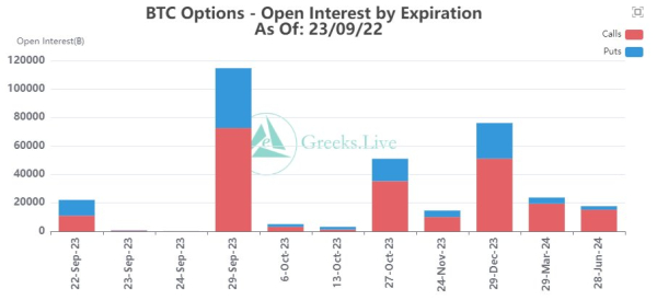 Bitcoin Options Data Shows Rise In Put Calls, Whale Holdings Drop