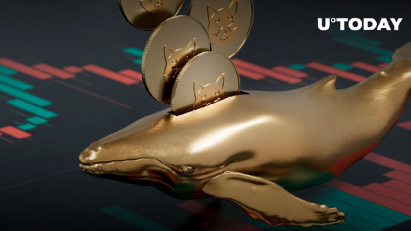 Shiba Inu (SHIB) Whales Can Make History If This Happens