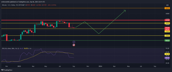 Will Bitcoin Crash to $20,000? Maybe, Here's Why...