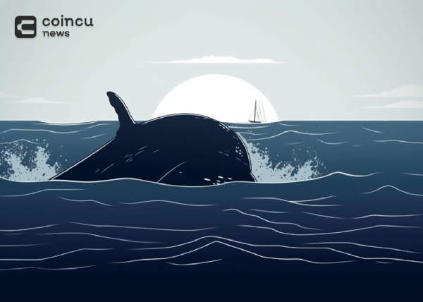 Whales Recently Buy MKR For 3,730 ETH, Bull Run Is Approaching