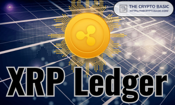 Former Ripple Director Refutes Claim That XRP Ledger Is Closed to Other Developers