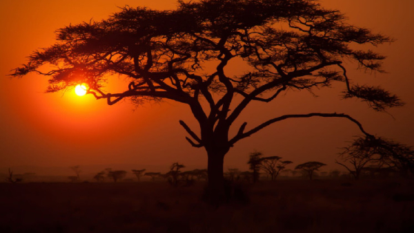 Study: Sub-Saharan Africa's Bitcoin Transaction Volume Number One Globally, Data Indicates Shift Towards Stablecoins