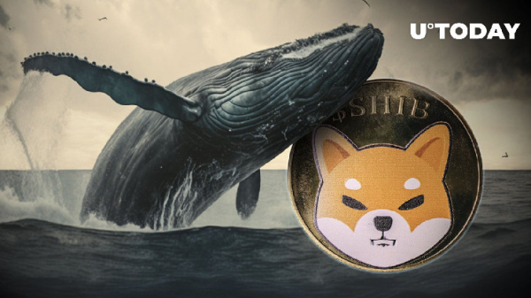 Trillions of SHIB Move to Whale Wallets as Shiba Inu Aims Next Move