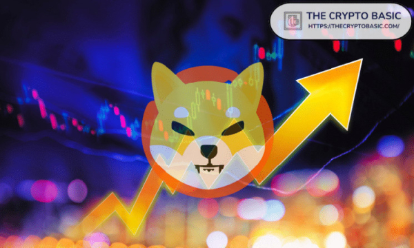 Shiba Inu Team Says SHIB Is Positioning Itself for Next Bull Run