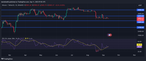 Bitcoin Whales Are Back: Are They Preparing for Another Bull Run?