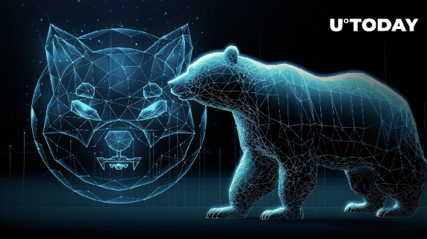 Shiba Inu Member: Here's How to Survive Bear Market When SHIB Plunges