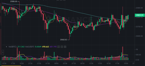 Bitcoin Price Drops Below $25,700 as SEC Decision Delays Spot Bitcoin ETFs