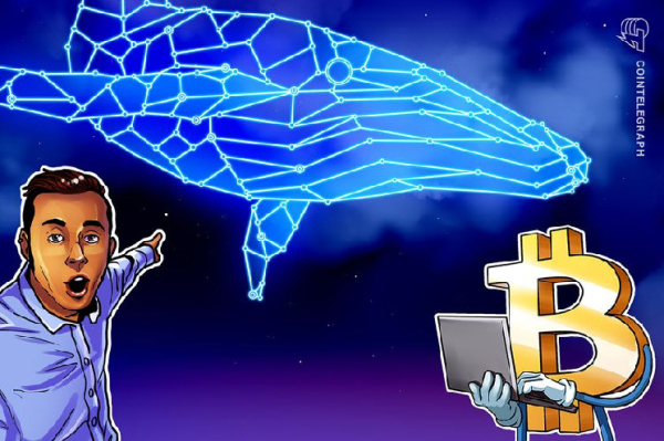 Bitcoin options data shows whales betting big &mdash; Will $50K BTC come in January?