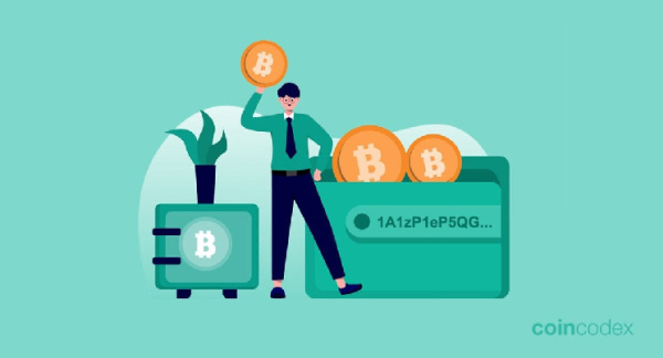 What Is a Bitcoin Wallet Address?
