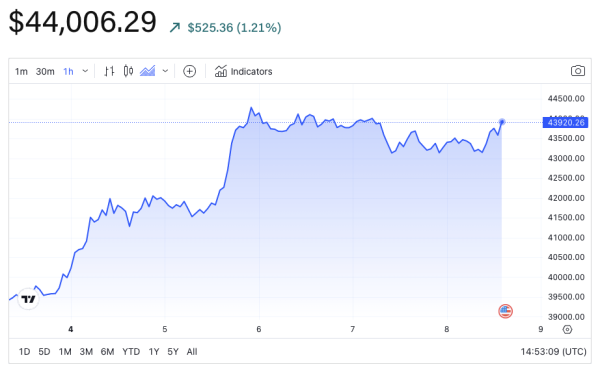 Recession won't keep bitcoin from reaching new highs in 2024, VanEck predicts in yearly crypto forecast