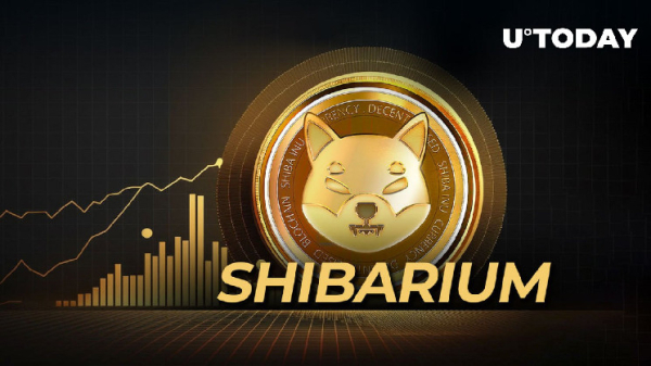 Shibarium Transactions at All-Time High, What's Really Happening?