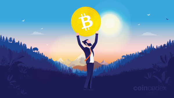 What Is a Bitcoin Wallet Address?