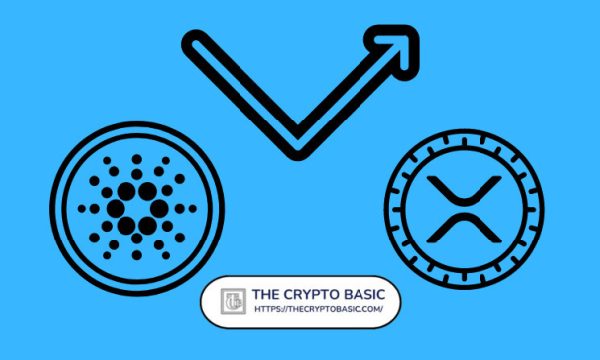 Helius Labs CEO Asks How XRP and Cardano Are &lsquo;Still Around,&rsquo; Community Sets Him Straight