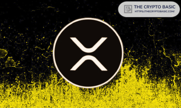 XRP Community Believes Ripple CTO is Saying DO not Sell Your XRP: Details