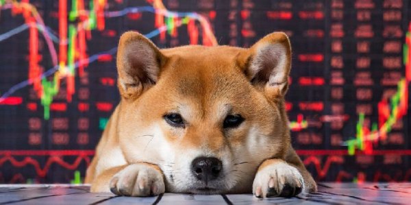Brakes on Bonk: Solana-Based Meme Down 56% From All-Time High Brakes on Bonk: Solana-Based Meme Down 56% From All-Time High