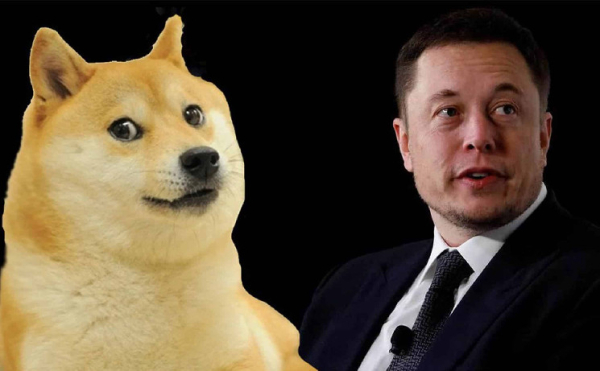 Shocking Hidden Dogecoin Detail in Elon Musk&rsquo;s New Product Cybertruck&rsquo;s Website Code