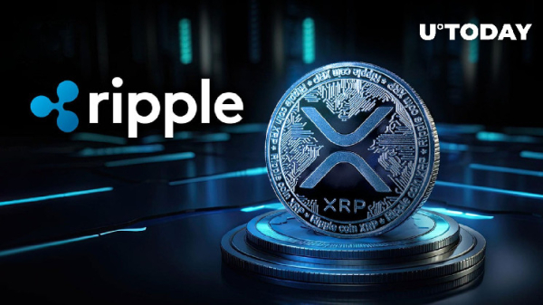 Ripple Moves 97 Million XRP as Price Rises, Community Intrigued