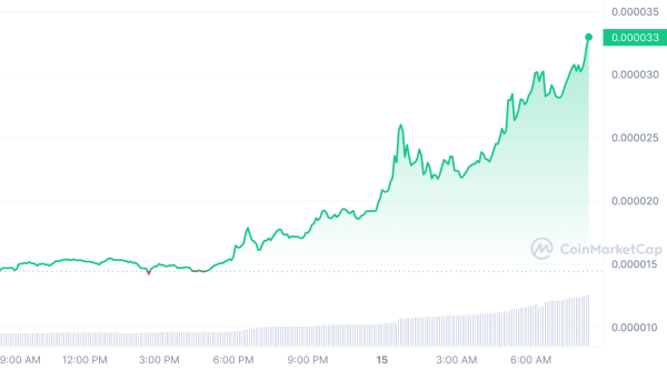 Investor Makes $784,000 on BONK As Memecoin Rises 129% on Binance Listing