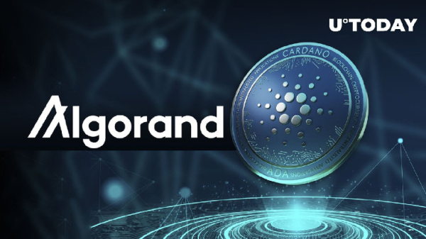 Cardano Layer-2 Protocol Announces Concerning News for Algorand Users