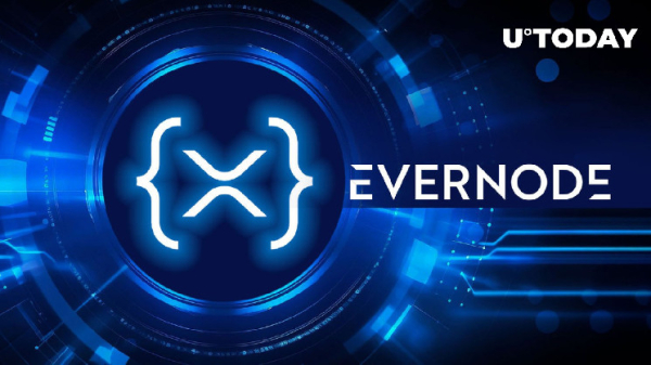 XRPL's Evernode Airdrop: What's Next for 2024?