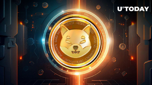 Crucial Upgrade Teased by SHIB Team, Here's Why It Will Be Important