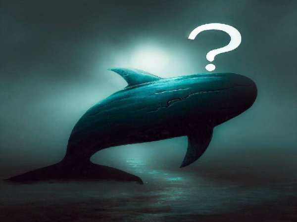 Two Institutional Investors and Three Giant Whales Are Showing High Activity in This Altcoin: They’re Selling Heavy Two Institutional Investors and Three Giant Whales Are Showing High Activity in This Altcoin: They’re Selling Heavy