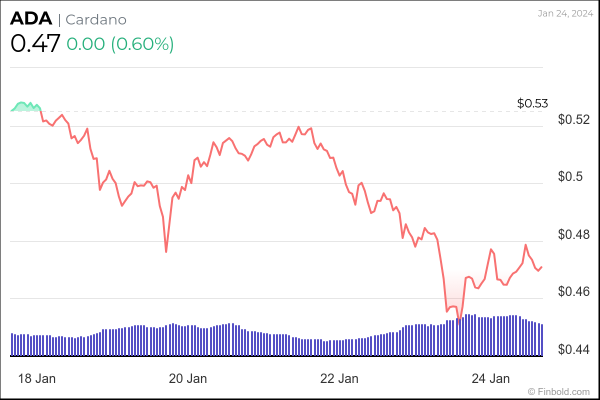 Cardano smart contracts skyrocket by almost 10,000 in 2024