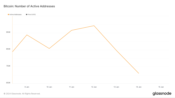 Major Bitcoin Liquidation Levels Identified at $42,000 and $46,000
