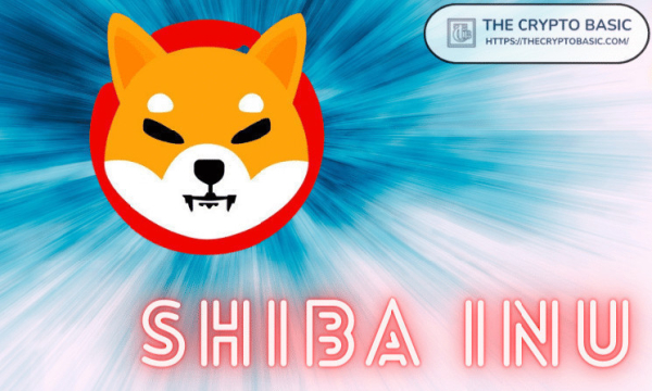 Shiba Inu Surges 12.63% from $0.000009264 to $0.00001043: Here&rsquo;s Why
