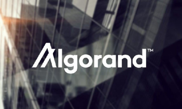 Investors accumulate Algorand (ALGO) ahead of this key ecosystem development