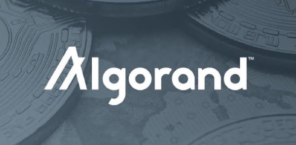 Algorand’s Future: Innovation and Incentives in the Blockchain Network by 2024 Algorand’s Future: Innovation and Incentives in the Blockchain Network by 2024