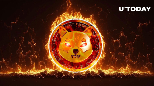 Shiba Inu (SHIB) Burn Rate Surges Almost 4,000% Amid Major Price Dip