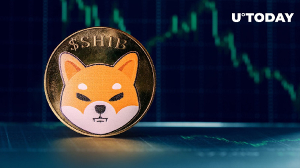 Shiba Inu (SHIB) Whales Disappear